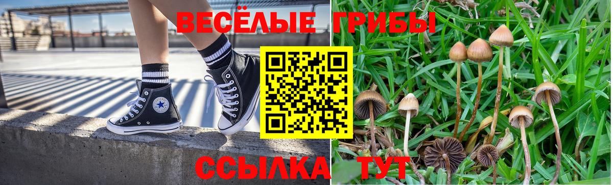 Псилоцибиновые грибы Cubensis Рассказово