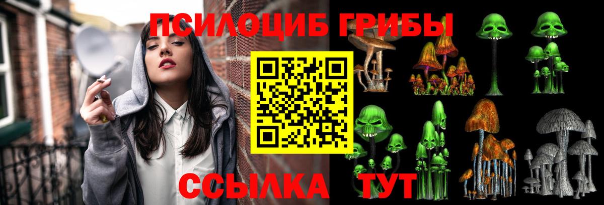 Рассказово  Псилоцибиновые грибы мухоморы  Вход с VPN  Псилоцибиновые грибы мицелий 